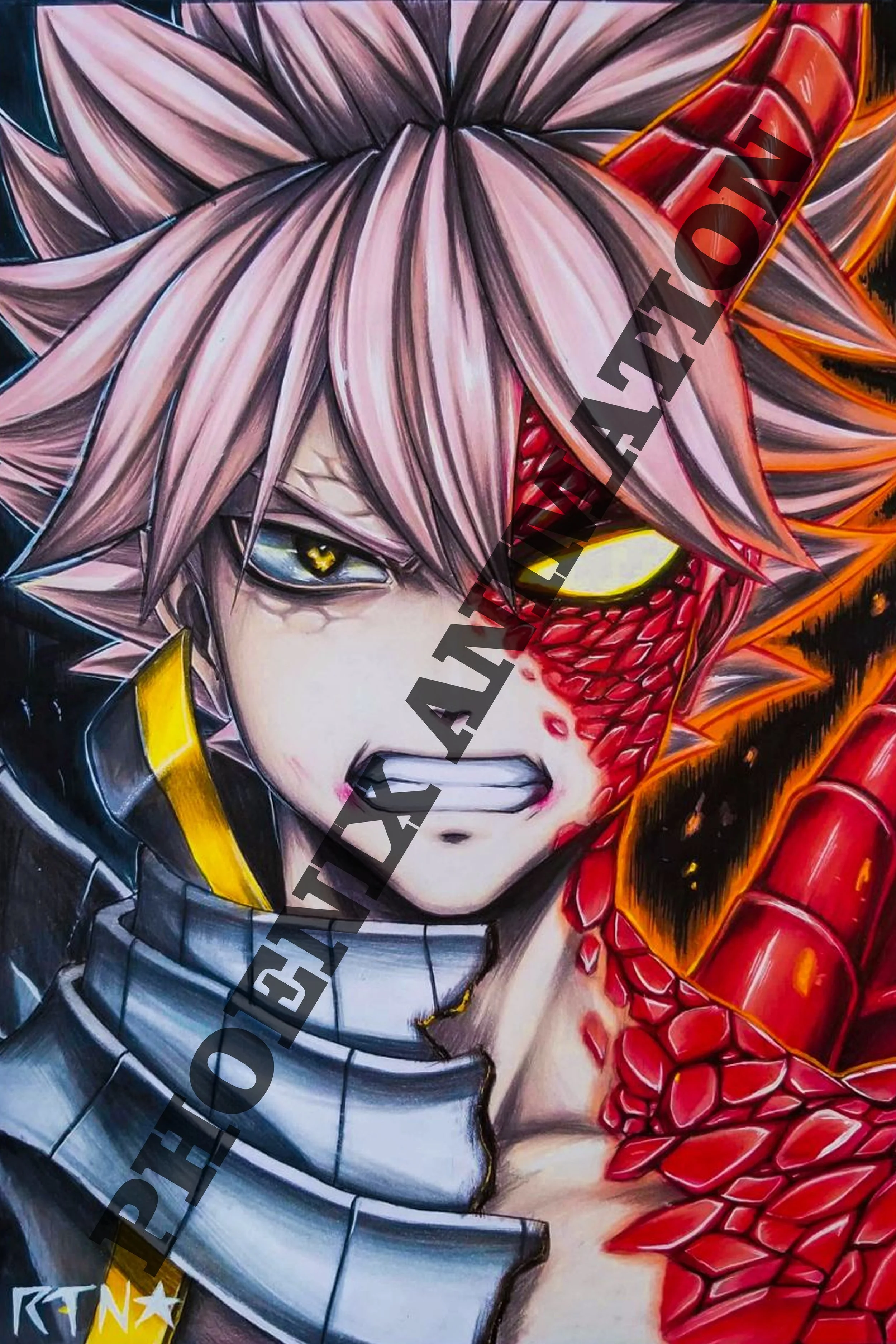 Natsu — Phoenix Animation